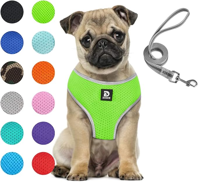 Puppy Harness and Leash Set - Dog Vest Harness for Small Dogs Medium Dogs- Adjustable Reflective Step in Harness for Dogs - Soft Mesh Comfort Fit No Pull No Choke (M, Light Green)