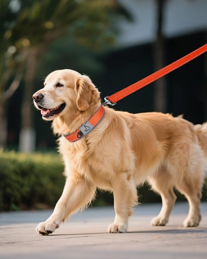 Joytale Dog Collar for Extra Large Dogs, Neoprene Padded and Adjustable, Reflective Wide Heavy Duty Pet Collars with Durable Metal Belt Buckle for Walking, Orange, XL