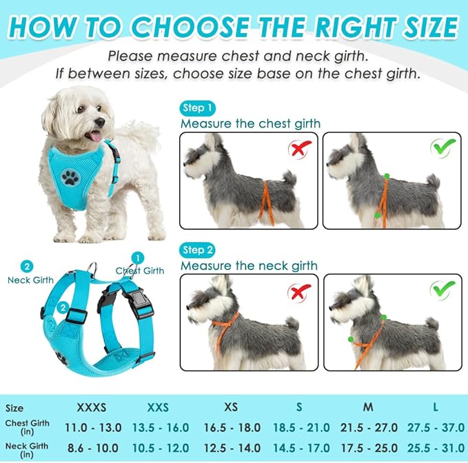 SlowTon Dog Seat Belt Harness for Car, Dog Car Harness Adjustable Mesh Breathable & Dog Seatbelt Safety Tether with Elastic Bungee for Small Medium Large Pets(Light Blue, Double Clip, L)