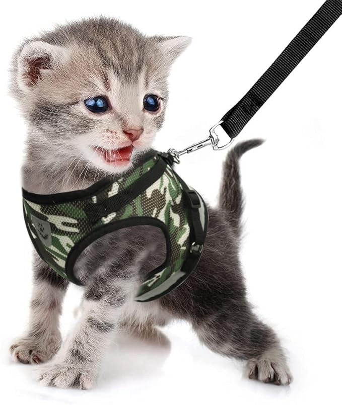 FEimaX Dog Harness and Leash Set for Walking, Soft Mesh Adjustable Easy Control Lightweight Cat Vest Harnesses with Reflective Strips, Escape Proof Small Dogs Cats Vests