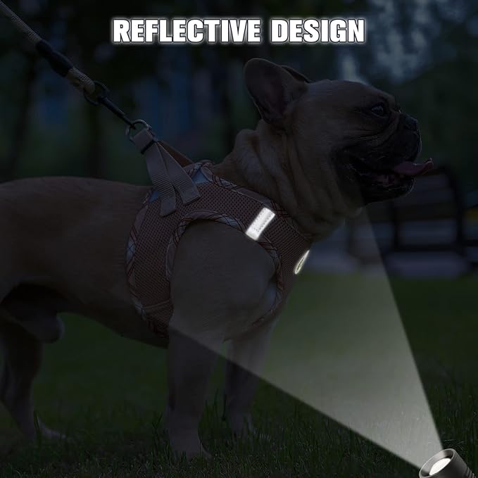 BEAUTYZOO Dog Harness and Leash Set for Small Medium Dogs,No Pull Step-in Harness for Puppy S M Sized Dogs and Cats,Air Mesh Adjustable Breathable Soft No Chock Escape Proof Vest Harnesses,Beige XL