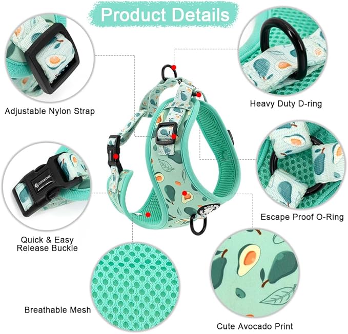 Dog Cat Harness and Leash Set, Puppia Soft Mesh Padded and Adjustable Puppy Vest Cute Dog Clothes Escape Proof Easy Walk Pet Accessories
