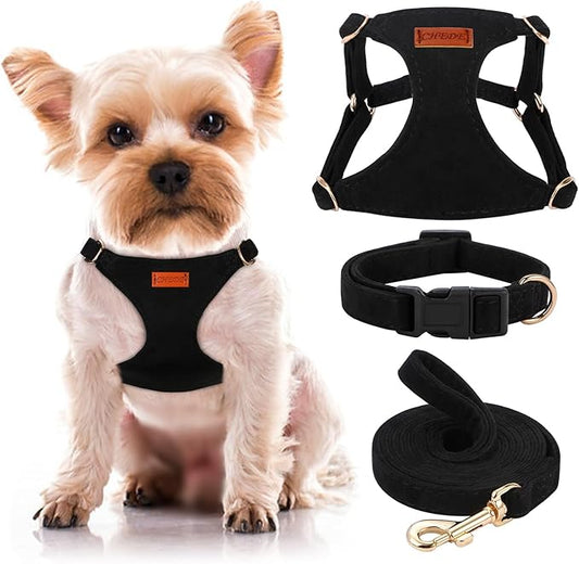 No Pull Dog Harness- Lightweight, Soft, Adjustable Small Harness Collar and Leash Set, Suitable for Cats Puppy Small and Medium-Sized Dog Outdoor Training and Running (Black, XXS)