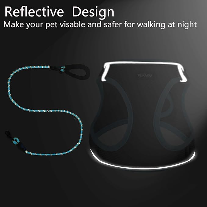 Dog Harness for Small Dogs No Pull, Puppy Harness and Leash Set, Easy Walk Dog Harness for Walking, Grey& Blue， XXS