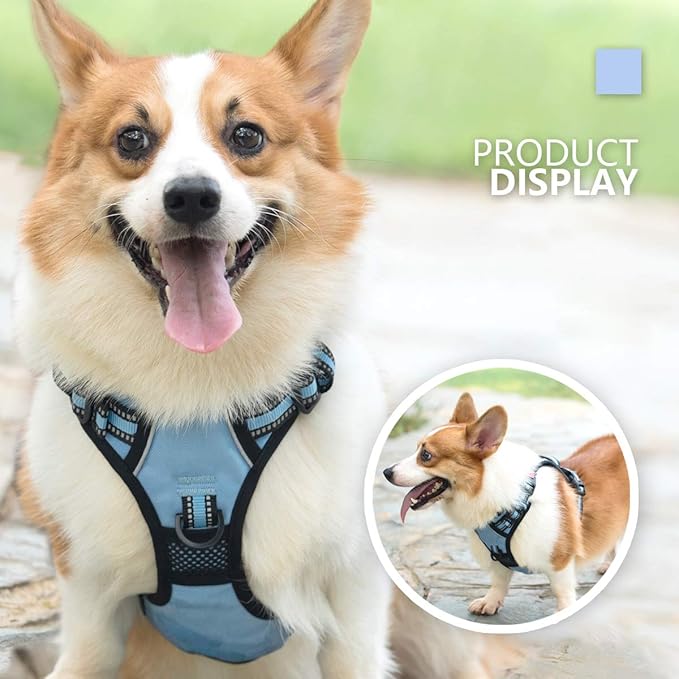 PoyPet No Pull Dog Harness, [Release on Neck] Reflective Adjustable No Choke Pet Vest with Front & Back 2 Leash Attachments, Soft Control Training Handle for Small Medium Large Dogs(Light Blue,L)