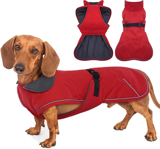 Windproof Waterproof Dog Coat for Dachshund -Red,XSmall- Miniature Dachshund Clothes, Small Dog Coat with Harness Built in, Reflective Dachshund Jacket with Adjustable Buckle Closure