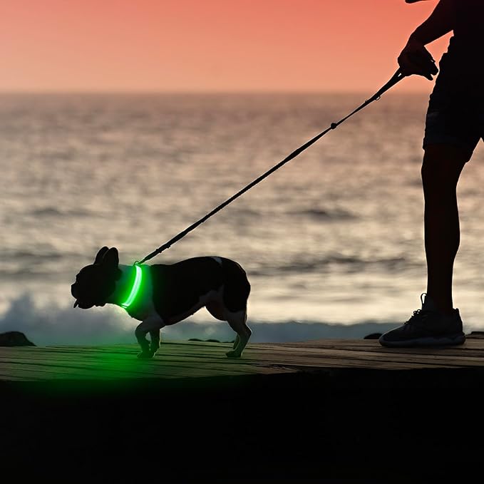 Illumifun LED Dog Collar, Rechargeable Light Up Collars, Reflective Safety Collar Light for Nighttime Walking Camping (GreenⅢ, Medium)