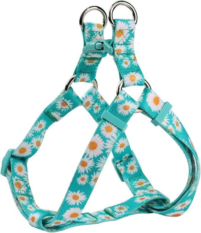 Green Daisy Pattern Basic Dog Halter Harness Leash Set, No Pull, Easy Wear for Small Dogs.(XS, Green Daisy)