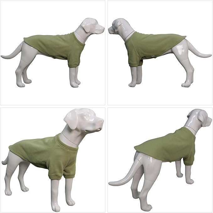 Lovelonglong Sweatshirt Cold Weather Pullover Autumn and Winter T-Shirts for Small Medium Large Size Dogs Grass-Green XL