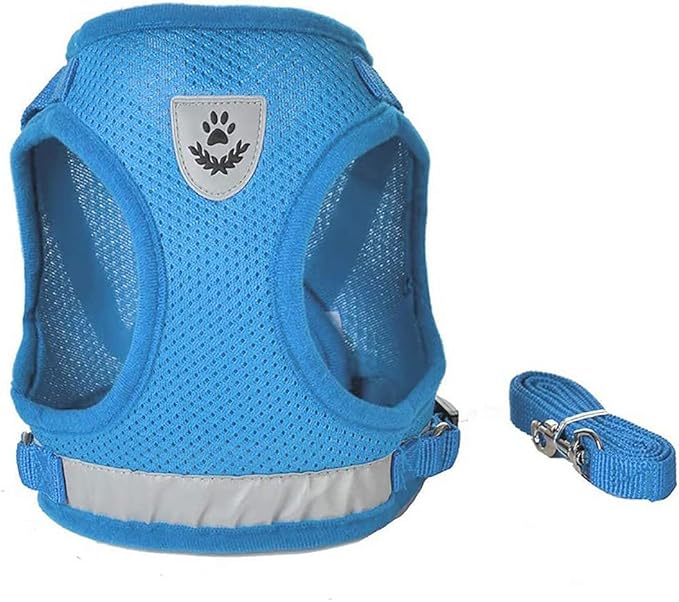 FEimaX Dog Harness and Leash Set for Walking, Soft Mesh Adjustable Easy Control Lightweight Cat Vest Harnesses with Reflective Strips, Escape Proof Small Dogs Cats Vests (Azure, Medium)