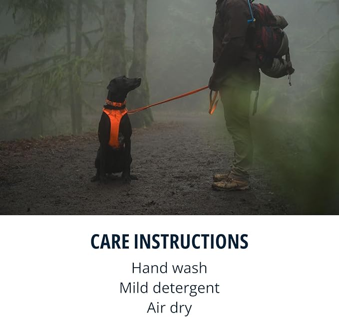 Ruffwear, Front Range Dog Leash, 5 ft Lead with Padded Handle for Everyday Walking, Blaze Orange