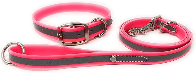Regal Dog Products Medium Pink Reflective Dog Collar and Leash Set - Waterproof Biothane Dog Collar with Heavy Duty Double Buckle, D Ring & 5ft Leash - Other Size for Medium & Large Dogs