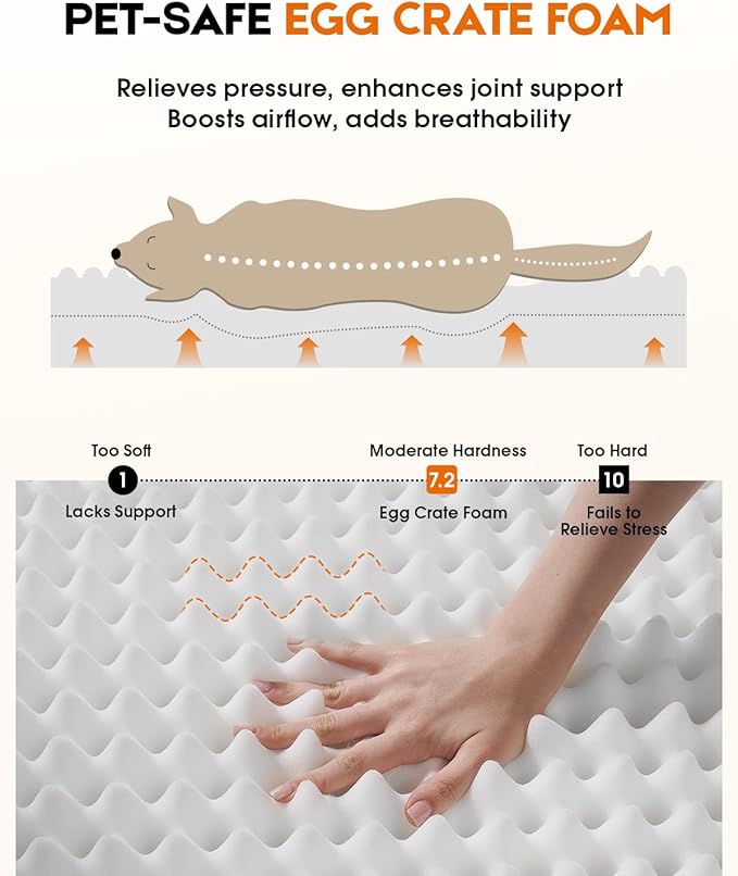 Cat Beds for Indoor Cats, Egg Foam Orthopedic Dog Bed with Removable Washable Cover, Waterproof Cat Couch Bed with Non-Slip Bottom and Four-Sided Bolster Cushion, Brown Dog Beds for Small Dogs