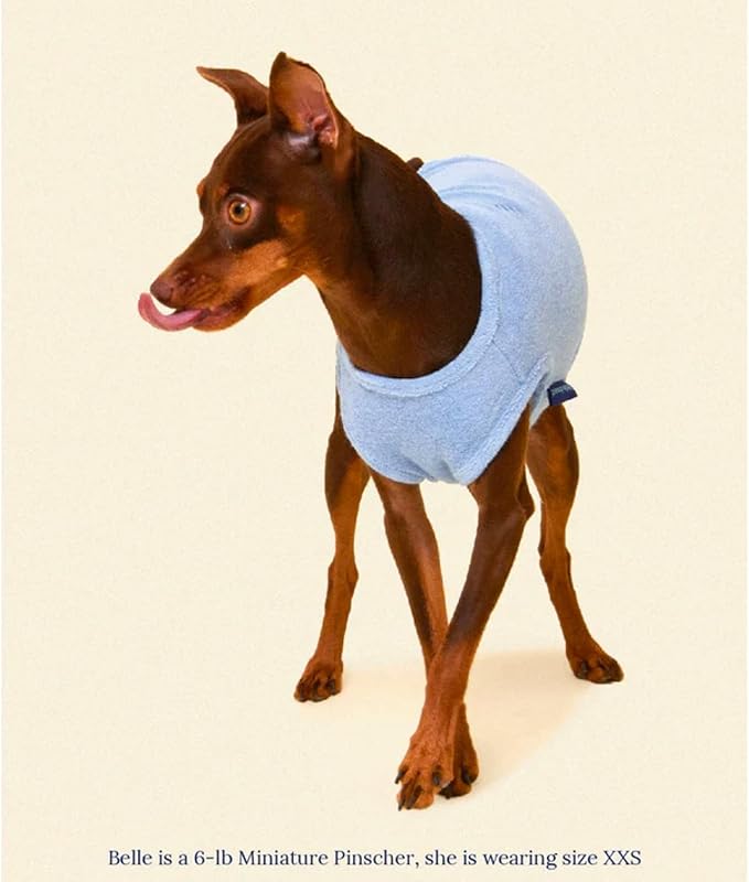 Little Beast Dog Clothes, Pet Clothes for Large, Medium and for Small Dogs (Dog Shirts Come in Multiple Colors and Styles) - Size: XX-Small Dogs, Blue