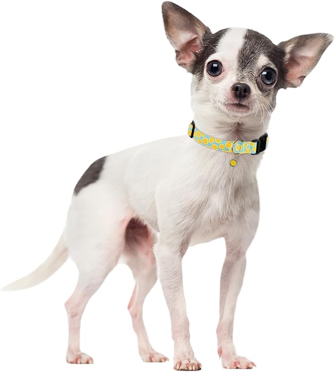 Cute Cotton Dog Collar for Boy and Girl Dogs Summer Lemon Pattern Puppy Collar for Small Medium Large Dogs Adjustable Lemon Pattern Soft Pet Collar for Male Female Dogs