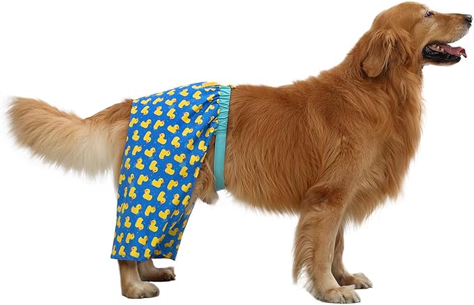 HDE Dog Swim Trunks Hawaiian Board Shorts Beach Pool Swimsuit for XS to XXL Dogs Rubber Ducks - XXL