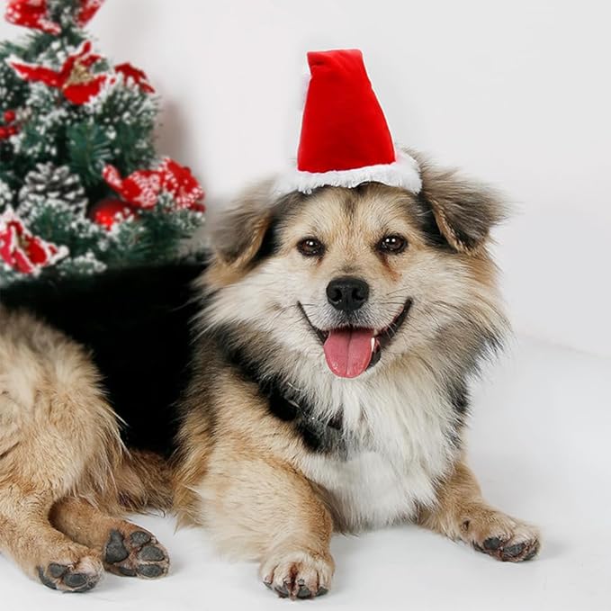 ANIAC Dog Christmas Hat for Medium Large Dog Pet Christmas Outfit Stand up Santa Hat for Dog Kids Santa Costume for Golden Retriever Great Dane Labrador German Shepherd Pitbull (Red Hat, Large)