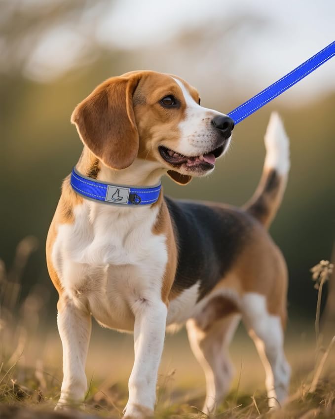 Joytale Dog Collar for Medium Dogs, Neoprene Padded and Adjustable, Reflective Wide Heavy Duty Pet Collars with Durable Metal Belt Buckle for Walking, Navy Blue, M