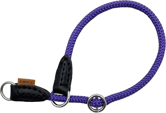 Braided Round Martingale Dog Collar, Training Collar with Slidable Stop Ring - Ideal for Extra Small Dogs (XS (1/4") - 14" Long, Purple)