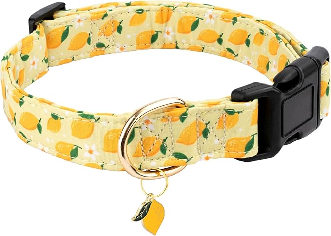 Cotton Dog Collar,Soft and Cute Puppy Collars with Lemon Patterned Design for Girl Female Boy Dogs,Adjustable Buckle Pet Collar for Small Medium Large Dogs (Yellow Lemon, L)