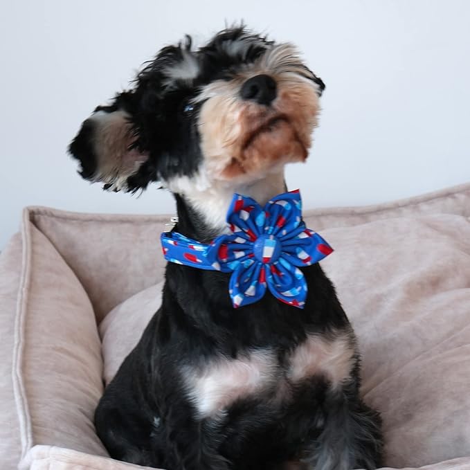 Lionet Paws Patriotic Female Dog Collar with Flower, 4th of July, Soft and Comfortable Adjustable Summer Popsicle Collar for Dogs, Medium, Neck 13.5-22 inches