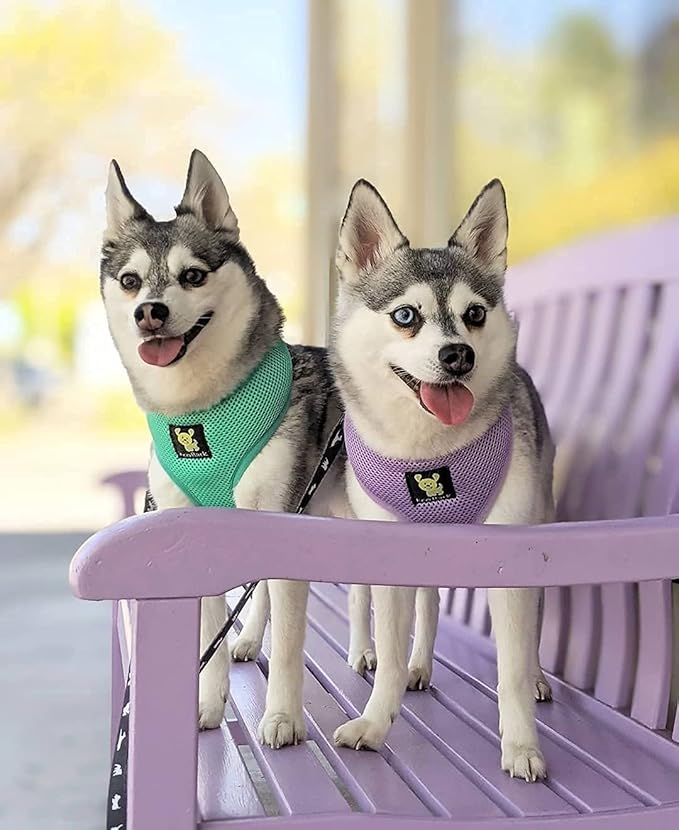 EcoBark Dog Harness - Eco-Friendly Max Comfort Harnesses - Luxurious Soft Mesh Halter - Over The Head Harness Vest- No Pull and No Choke for Puppy, Toy Breeds & Small Dogs (Medium, Lavender)