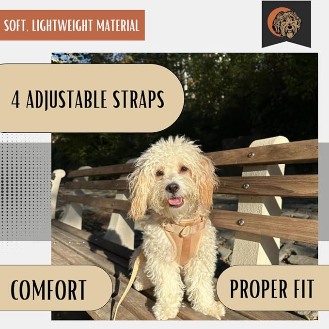 Tito's Closet XS Dog Harness and Leash Set, Soft Neoprene Material, No Pull Dog Harness, Tan, XS