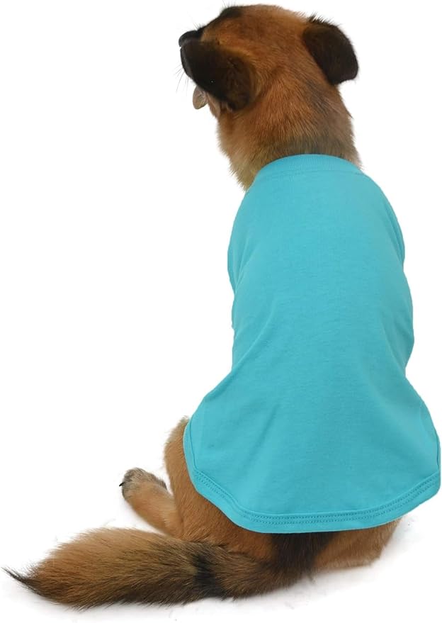 Lovelonglong Pet Clothing Dog Costumes Dachshund Clothes Blank T-Shirt Tee Shirts for Dachshund Dogs,Corgi 100% Cotton Turquoise D-XL