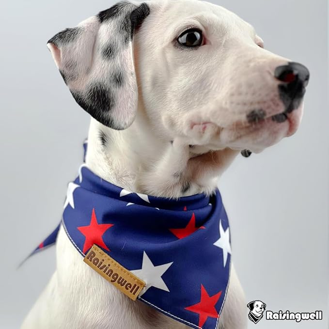 4th of July Dog Bandanas 2 Pack, 4 Pattern Reversible Holiday Bandana for Boy and Girl, Premium Durable Fabric, Summer Triangle Scarf for Medium to X-Large Breed Dogs (Large)