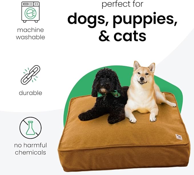 Molly Mutt Fast Car Dog Bed Duvet Cover, GOTS-Certified 100% Cotton Canvas Cover for Dog, Puppy, or Cat Bed, Durable, Washable, and Free of Harmful Chemicals, Huge, 36"x45"x5", Mustard Yellow