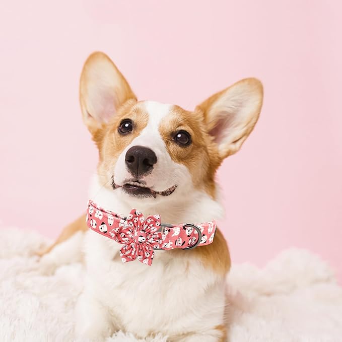 Elegant little tail Dog Collar with Flower, Flower Girl Dog Collar for Female Dogs, Cute Dog Pet Collar Gift Adjustable Dog Collars with Flowers for Small Medium Large Dogs