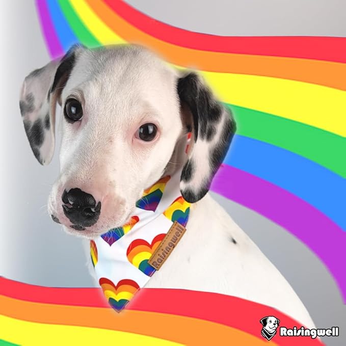 Pride Dog Bandanas 2 Pack, 4 Pattern Reversible LGBTQ+ Rainbow for Boy and Girl, Premium Long-Lasting Fabric, Summer Triangle Scarf for Small to Medium Breed Dogs (Small)