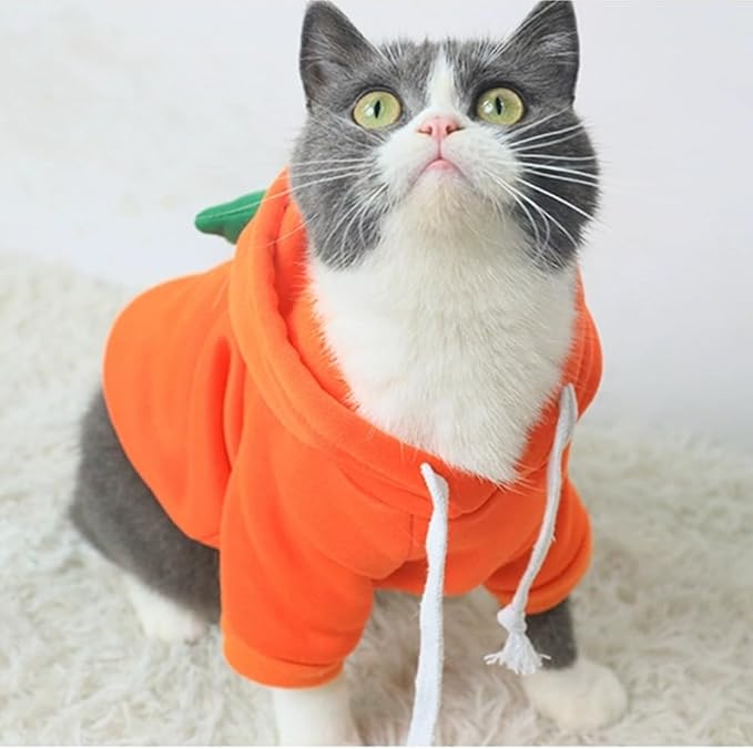 ANIAC Funny Pet Clothes for Small Dog Cat Carrot Hoodies Warm Sweatshirt Coat With Fruit Hood Fall Puppy Cat Sweater Halloween Easter Carrot Costume (Orange, X-Small)
