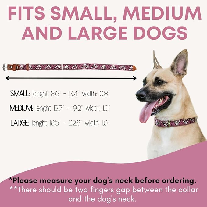 Western Dog Collar - Leather Embroidered Design for Small Medium Large Dogs & Puppy Pets - Aztec Southwest for Boy Girl Female & Male Dogs - Collar para Perros Beaded (Medium, Carissma)
