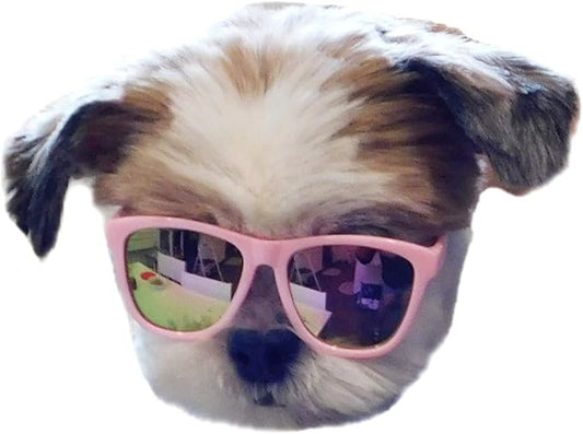 G014 Dog Cat Pet 80s Sunglasses Goggles for Small Breeds up to 15lbs (Pink-Pink Mirror)