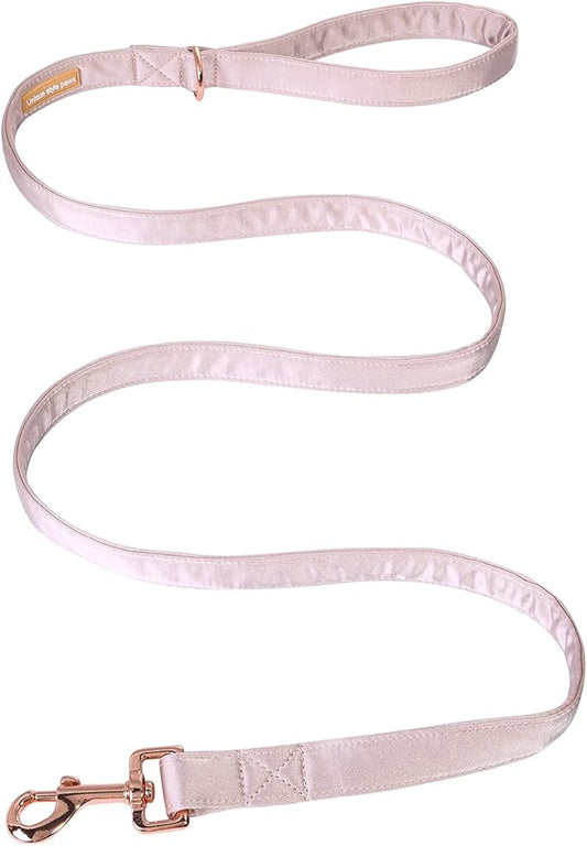 Unique style paws Silk Dog Leash Durable Dog Leashes with Welded D-Ring Comfortable Handle for Small Medium Large Dogs Z-Princess