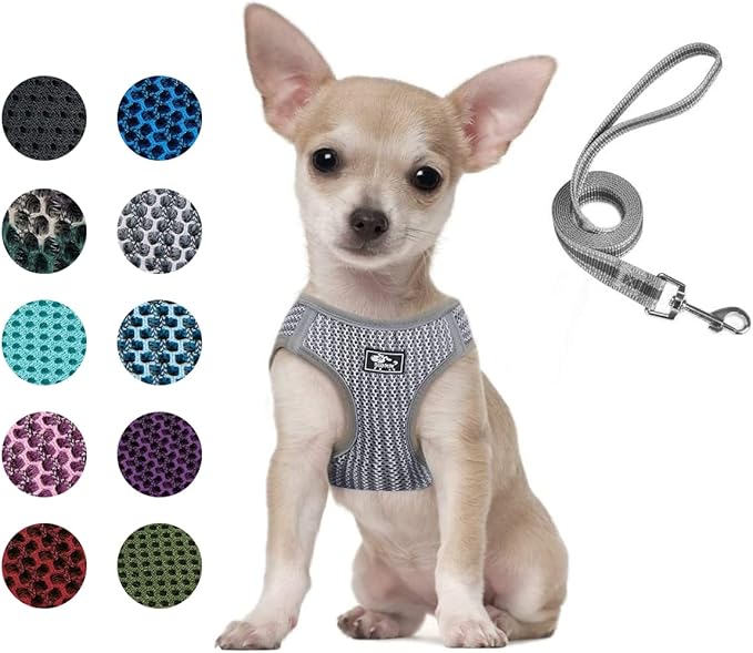 Dog and Cat Universal Harness with Leash - Cat Harness Escape Proof - Adjustable Reflective Step in Dog Harness for Small Dogs Medium Dogs - Soft Mesh Comfort Fit No Pull No Choke (XS, Grey)