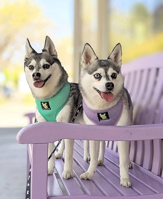 EcoBark Dog Harness - Eco-Friendly Max Comfort Harnesses - Luxurious Soft Mesh Halter - Over The Head Harness Vest- No Pull and No Choke for Small, Toy Breed, and Teacup Dogs (XS, Lavender)