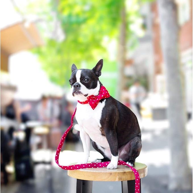 Unique Style Paws Pet Soft &Comfy Bowtie Dog Collar and Cat Collar Pet Gift for Dogs and Cats 6 Size and 7 Patterns