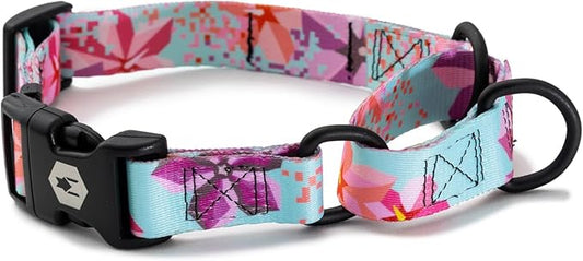 Wolfgang Heavy Duty Martingale Dog Collar with Quick Release Nylon Buckle for Walking & Training, DigiFloral Print, Large