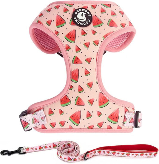 Dog Harness and Leash Set, Adjustable Dog Harness, Dog Leash, No Pull No Choke Puppy Harnesses for Walking Training for Small, Medium, Large Pet