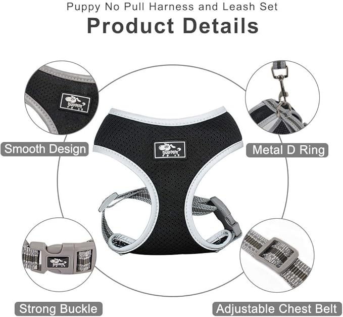 Puppy Harness and Leash Set - Dog Vest Harness for Small Dogs Medium Dogs- Adjustable Reflective Step in Harness for Dogs - Soft Mesh Comfort Fit No Pull No Choke (M, Black)