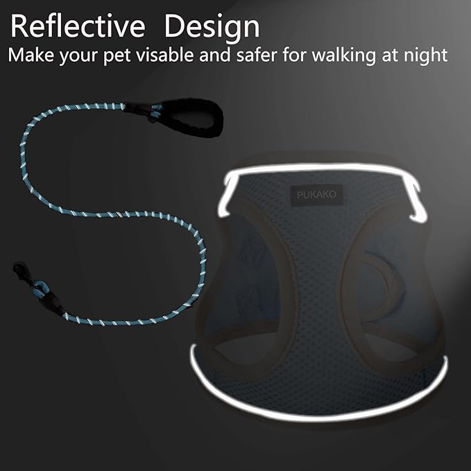 Puppy Harness and Leash Set, Step-in Small/Extra-Small Size with Soft Mesh and Reflective Bands, Blue