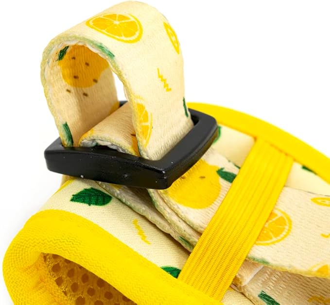 Dog Harness and Leash Set, Adjustable Dog Harness, Dog Leash, No Pull No Choke Puppy Harnesses for Walking Training for Small, Medium, Large Pet (Lemon, S(Chest 13-19", Neck 9.5-13.1"))