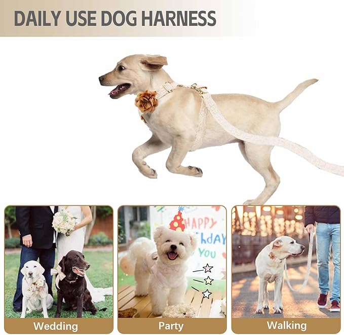 Extra Large Dog Harness and Leash Set, Elegant Lace Embroidered Costume, No Pull, Adjustable, White, S/M/L, Dog Wedding Harness, Costume, Pet Outfit