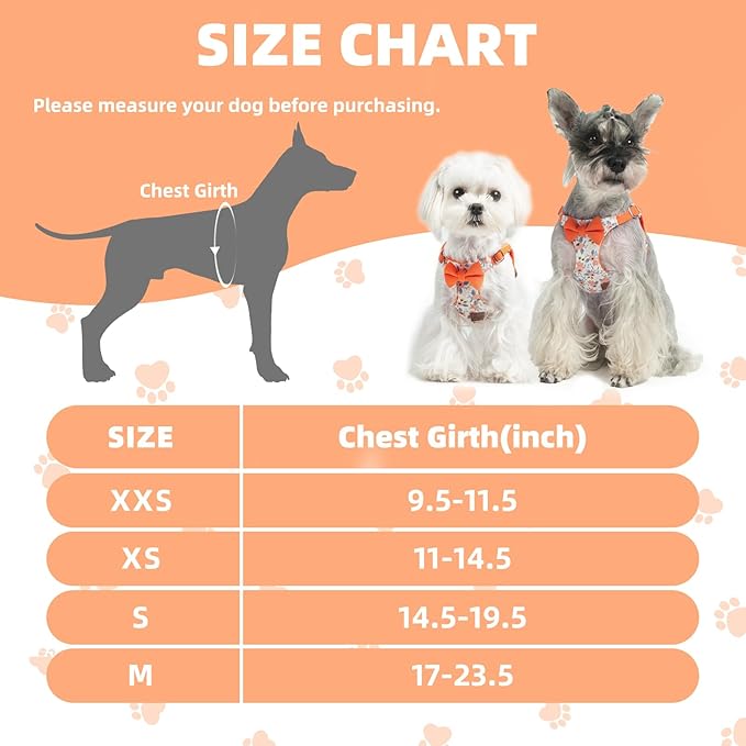 PUPTECK Dog Harness and Leash Set Small Sized, Step-in Cute Puppy Harness, Soft Lightweight Padded Vest, Escape Proof No Pull Pet Harnesses Easy for Walking, Flower Orange, M