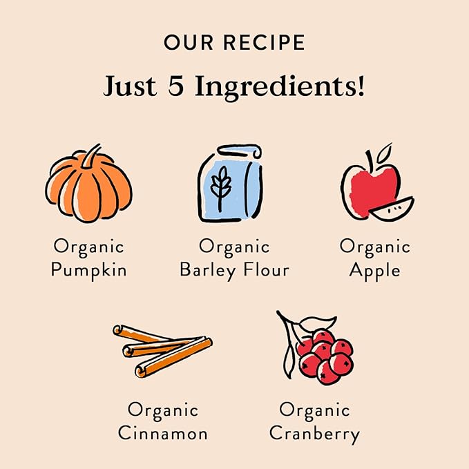 Bocce's Bakery All-Natural, Small Batch, Organic Dog Treats, Pumpk'n Harvest Biscuits, Wheat-Free, Limited-Ingredient, Made in The USA with 100% Recyclable Packaging, 12 oz Bag