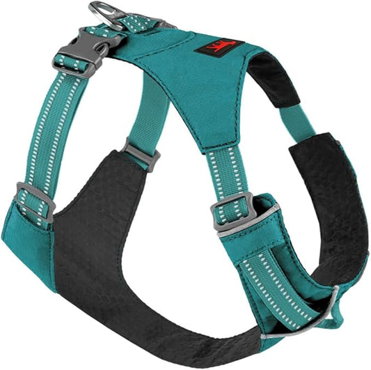 Tuff Pupper Lightweight Dog Harness for Walking | Front & Back Leash Clips | 4-Way Adjustable Fit | Reflective Trim | Easy On/Off Buckles | Lightweight & Breathable | No Pull Design (XXS, Teal)