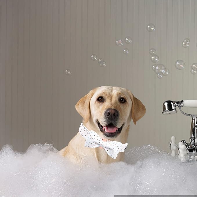 Elegant Little Tail Dot Cute Pet Collar with Bowtie - Adjustable for Small Dogs