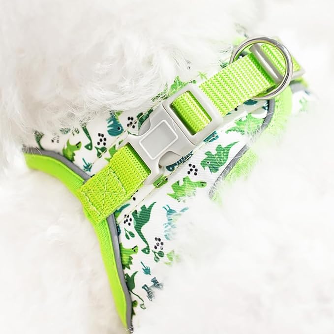 Step in Dog Harness and Leash Set, Flower Adjustable Easy Walk Puppy Harnesses, Soft Mesh Pet Vest Harness Small Size Dog Adjustable No Pull Dog Harness for Small Medium Dogs(Dinosaur1, M)